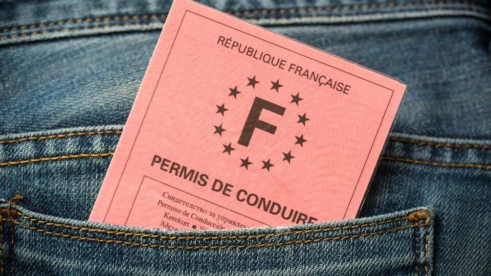 French driving license in the rear pocket of blue jeans, driving licence test concept