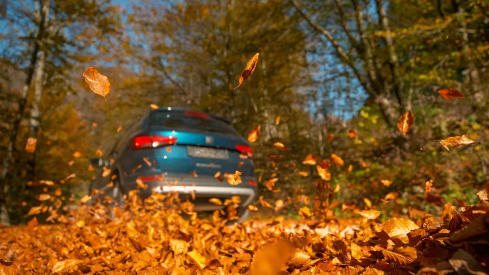 Schon ab Oktober kann Frost auftreten, Sommerreifen bieten dann nicht mehr genügend Halt.