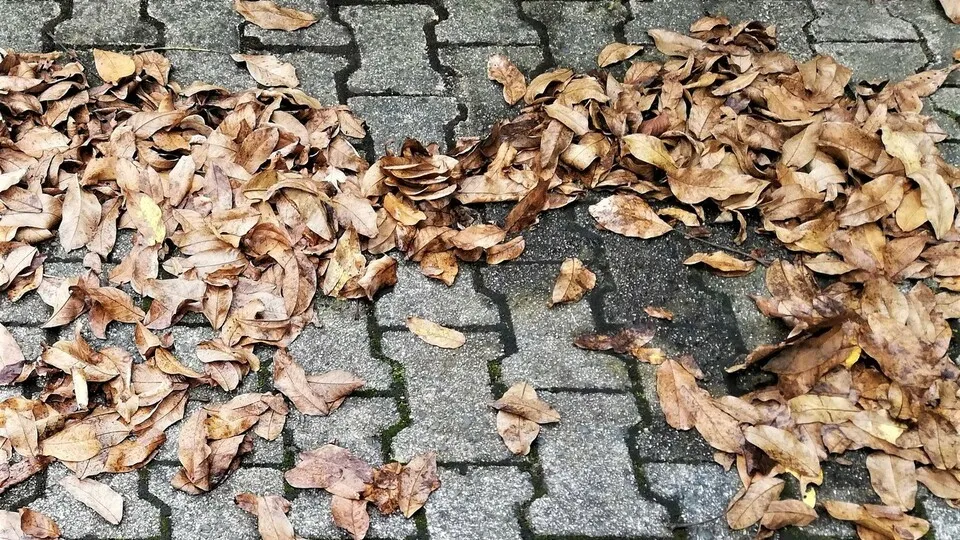 Ratgeber: Sicher fahren im Herbst