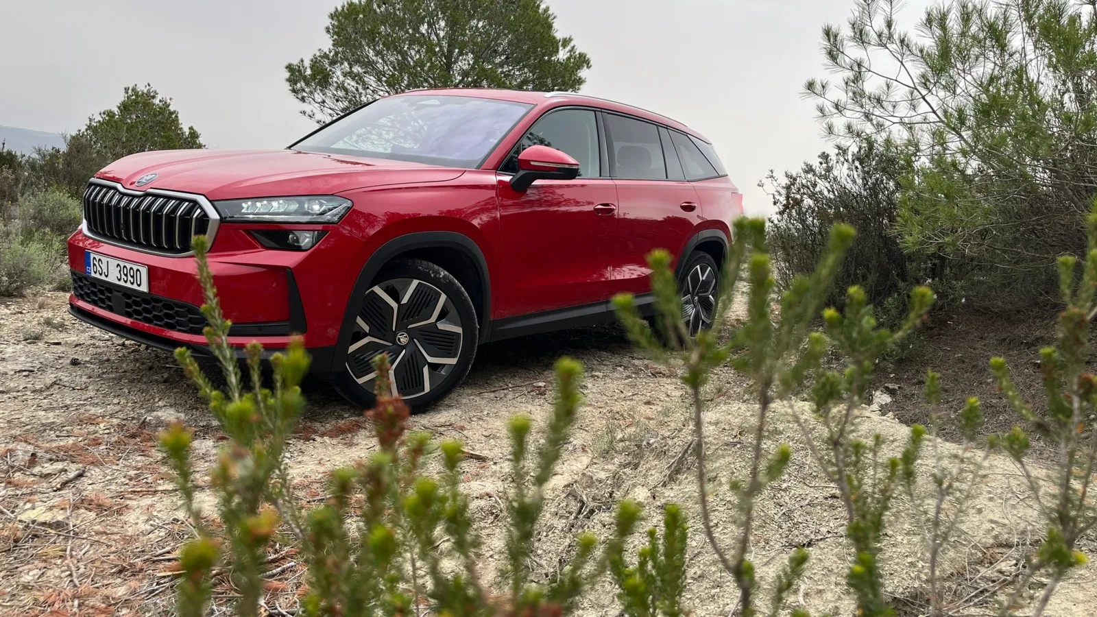 Der neue Kodiaq wirkt wuchtig, ist auch alles andere als ein kleines Auto. Das bringt Platz und Komfort.
