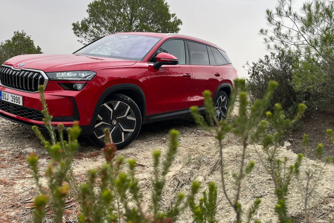 Der neue Kodiaq wirkt wuchtig, ist auch alles andere als ein kleines Auto. Das bringt Platz und Komfort.