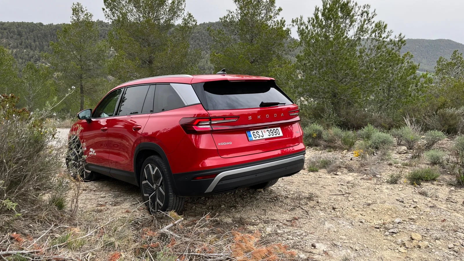 Die Dachlinie des Kodiaq fällt nach hinten nur ganz leicht ab. Bei den 7-Sitzern hat man so selbst in der dritten Sitzreihe ausreichend Kopffreiheit.