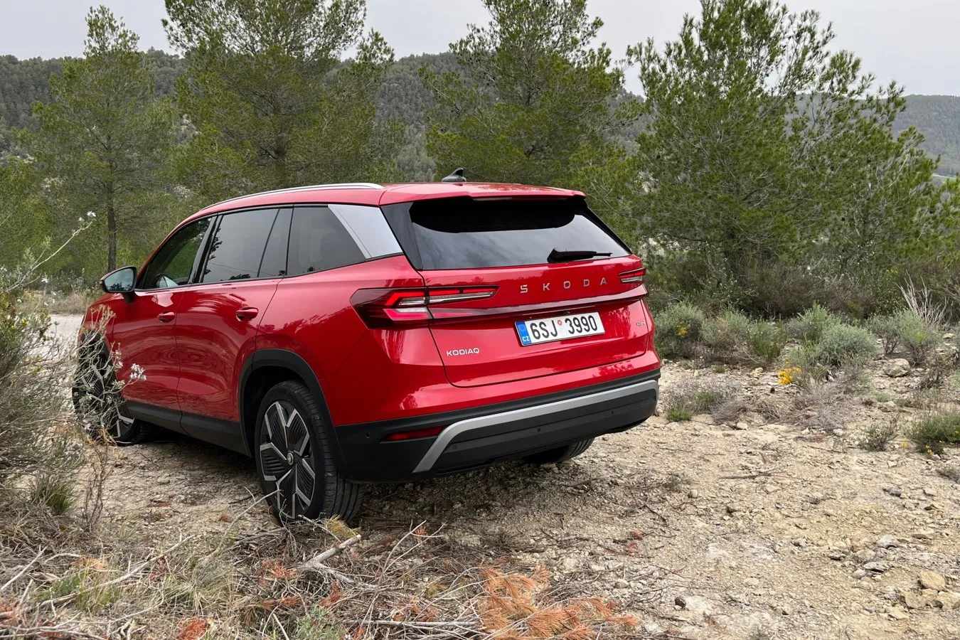 Die Dachlinie des Kodiaq fällt nach hinten nur ganz leicht ab. Bei den 7-Sitzern hat man so selbst in der dritten Sitzreihe ausreichend Kopffreiheit.