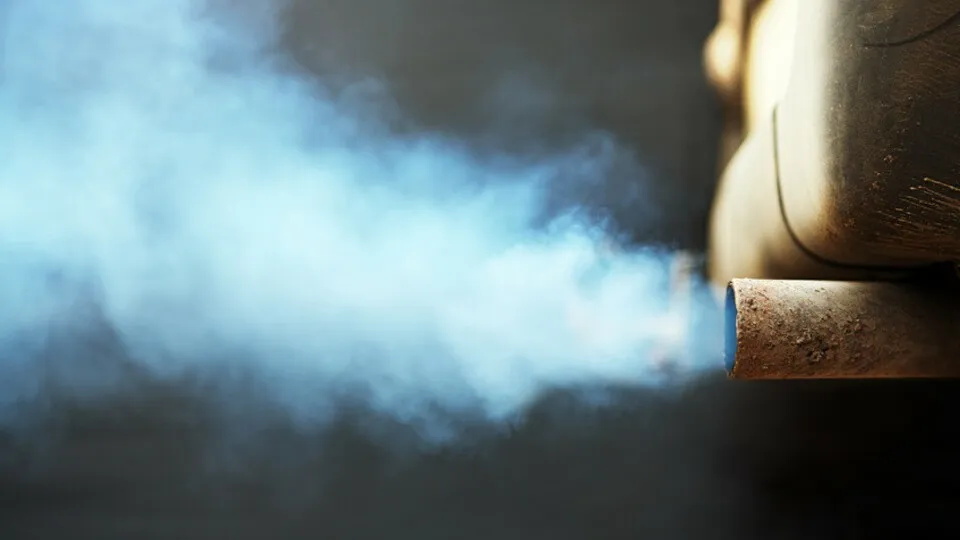 Der EuGH hat die Rechte von Opfern des Dieselskandals gestärkt