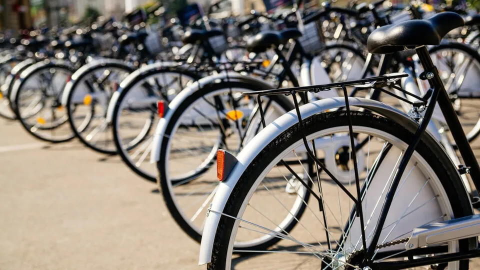 Die Krise in der Wirtschaft hat nun auch die Fahrradwirtschaft erwischt.