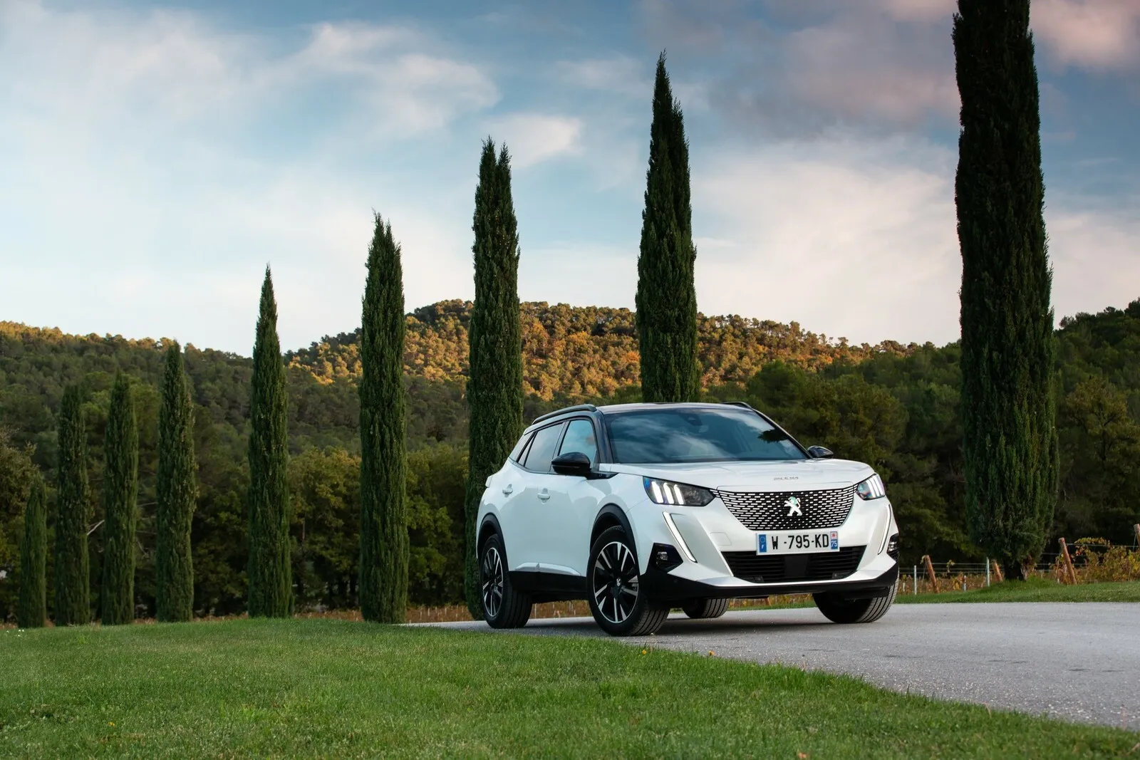 Auch Halter des Peugeot e-2008 (807 Euro) sparen im Vergleich zum ähnlich starken Benziner.