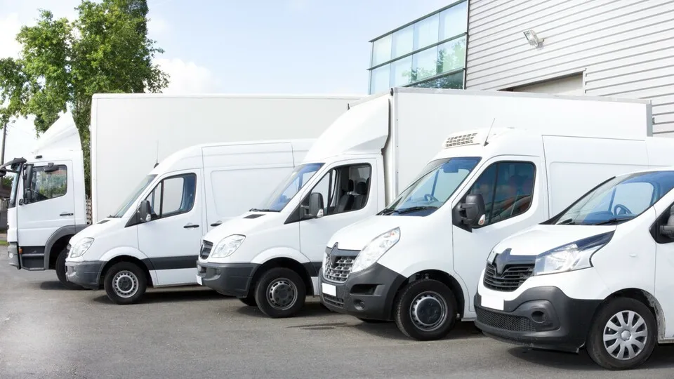 Welche Transportermodelle werden am häufigsten für Flotten zugelassen?